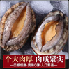 【YMHR】八头鲍鱼 商品缩略图0