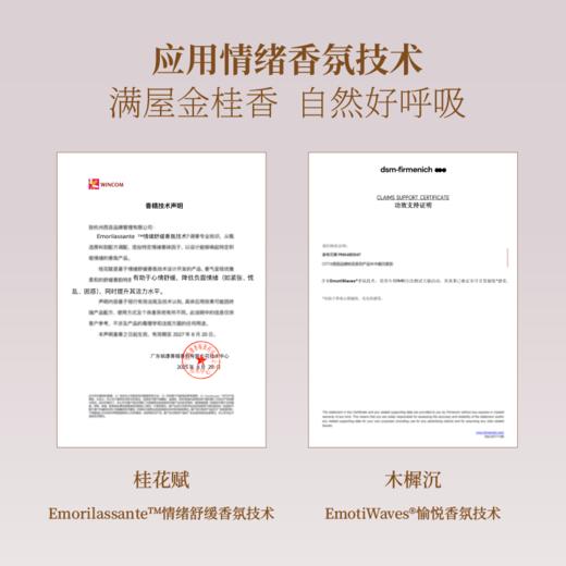 CITTA西苔灵川金桂圆形香氛蜡片桂花香片 衣柜除味香挂 商品图4