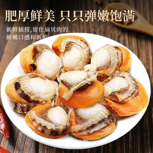 【YMHR】冷冻海鲜  扇贝肉5斤一袋 商品图1