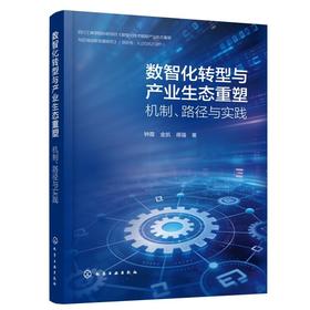 数智化转型与产业生态重塑：机制、路径与实践