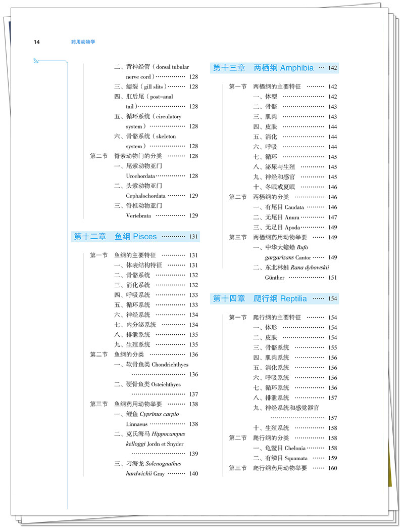 目录4.jpg