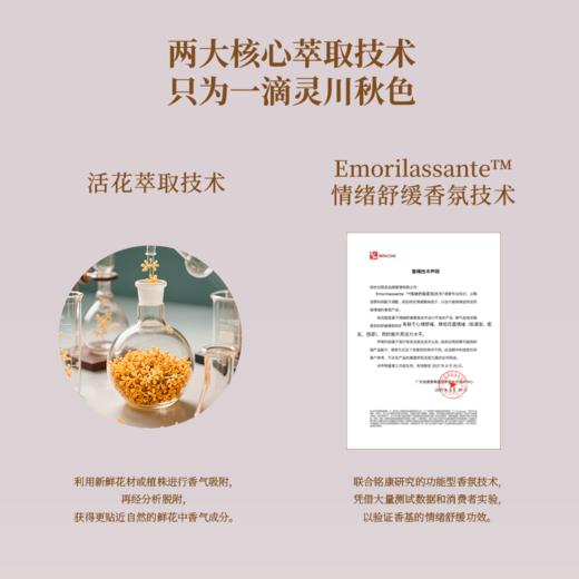 CITTA西苔灵川金桂圆形香氛蜡片桂花香片 衣柜除味香挂 商品图3
