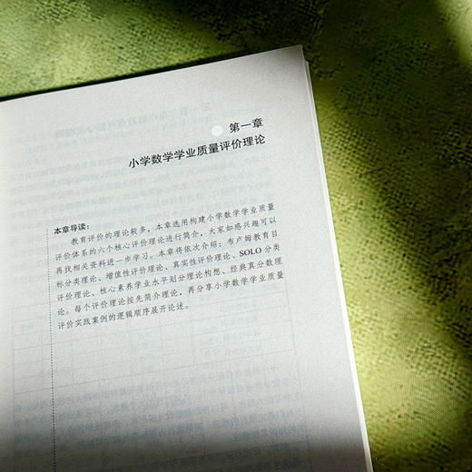 小学数学学业质量评价 试卷编拟实践指导手册 大夏书系 数学教学培训用书 商品图8