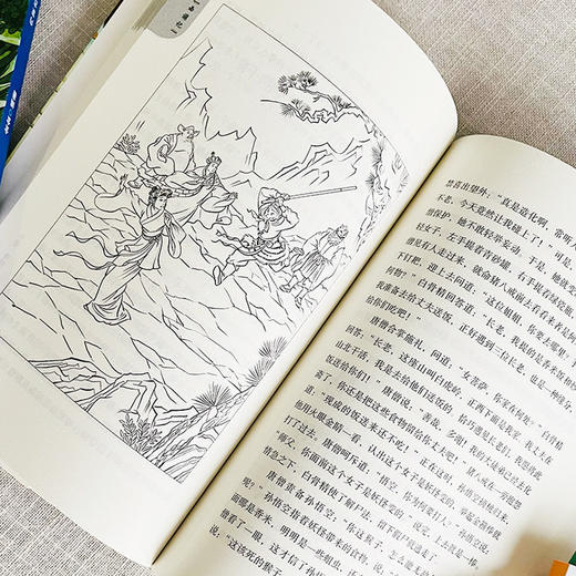 少年读四大名著（4册） 商品图2