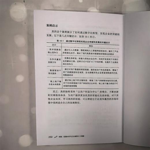突围：低增长时代企业破局8大策略 商品图3