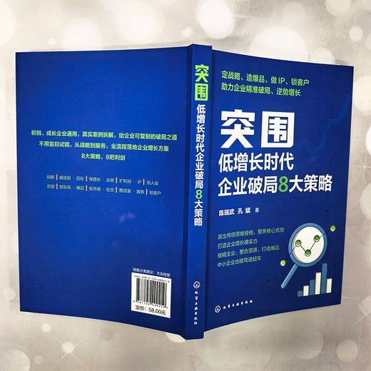 突围：低增长时代企业破局8大策略 商品图1