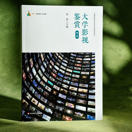 大学影视鉴赏 第二版 张燕 普通高等学校公共艺术课程系列教材 商品图3