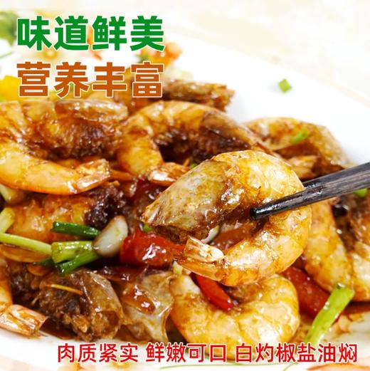 【YMHR】大明虾 商品图3