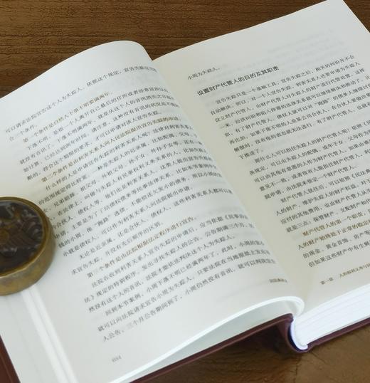 【特惠微瑕】《杨立新民法典讲义》，精装，全2册，32开，杨立新著，新星出版社2024年一版一印，1120页，定价199，售价：75元。品9成 商品图6