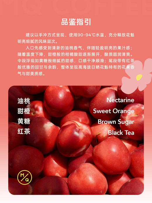 明谦埃塞俄比亚小粒花魁咖啡豆手冲冰美式咖啡黑咖啡 商品图2