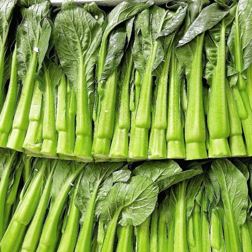 【YMHR】新鲜蔬菜广东菜心 商品图0