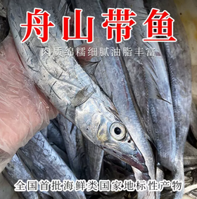 【YMHR】带鱼一箱（黑眼舟山带鱼）5~6斤