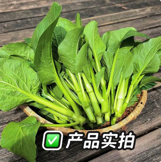 【YMHR】新鲜蔬菜广东菜心 商品图2