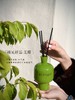 【69元到手600ml≈12瓶香薰】“好运碌柚叶” 碌柚叶无火香薰  柚见好运  无需点火 藤条自然散香 商品缩略图0