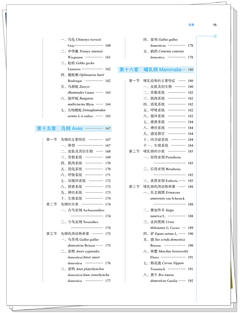 目录5.jpg