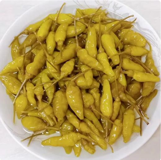 【YMHR】小米辣泡椒750g 商品图2