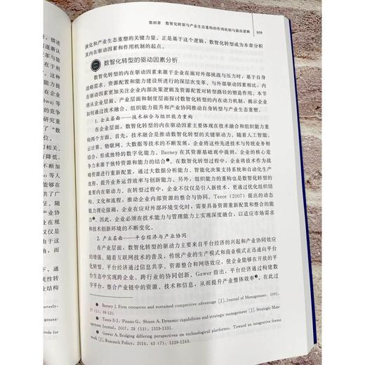 数智化转型与产业生态重塑：机制、路径与实践 商品图2