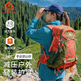 艾王户外专业登山双肩背包30L大容量男女轻便短途徒步旅游行防泼KA-9742B