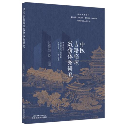 中医古籍临床效价体系研究 张楚楚 主编 中国中医药出版社 商品图4