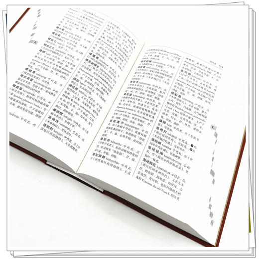 中药学辞典 张廷模 周祯祥 主编 本辞典中对于中药学基本理论术语和中药功效术语的释义 9787513298735 中国中医药出版社 商品图4