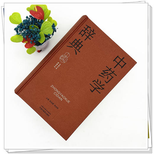 中药学辞典 张廷模 周祯祥 主编 本辞典中对于中药学基本理论术语和中药功效术语的释义 9787513298735 中国中医药出版社 商品图2