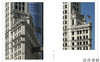 The Wrigley Building: The Making of an Icon / 箭牌大厦：一个标志的诞生 商品缩略图2