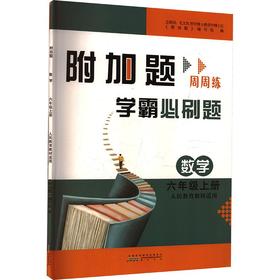 暂AM课标数学6上(人教版)/附加题