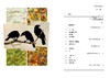 【热卖】乌鸦的慰藉（精装）一封关于失去与重生、哀悼与热爱的温柔情书。 商品缩略图7