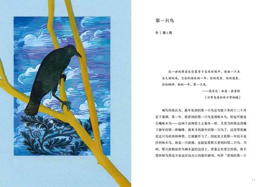 【热卖】乌鸦的慰藉（精装）一封关于失去与重生、哀悼与热爱的温柔情书。 商品图9