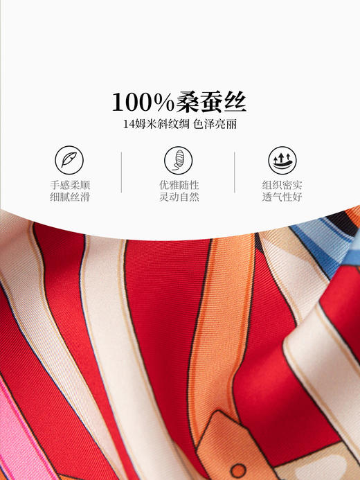 万事利双面印花方巾-爵韵（70） 商品图3