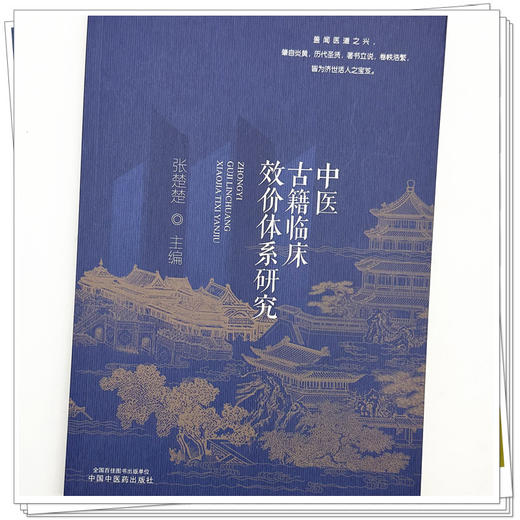 中医古籍临床效价体系研究 张楚楚 主编 中国中医药出版社 商品图3