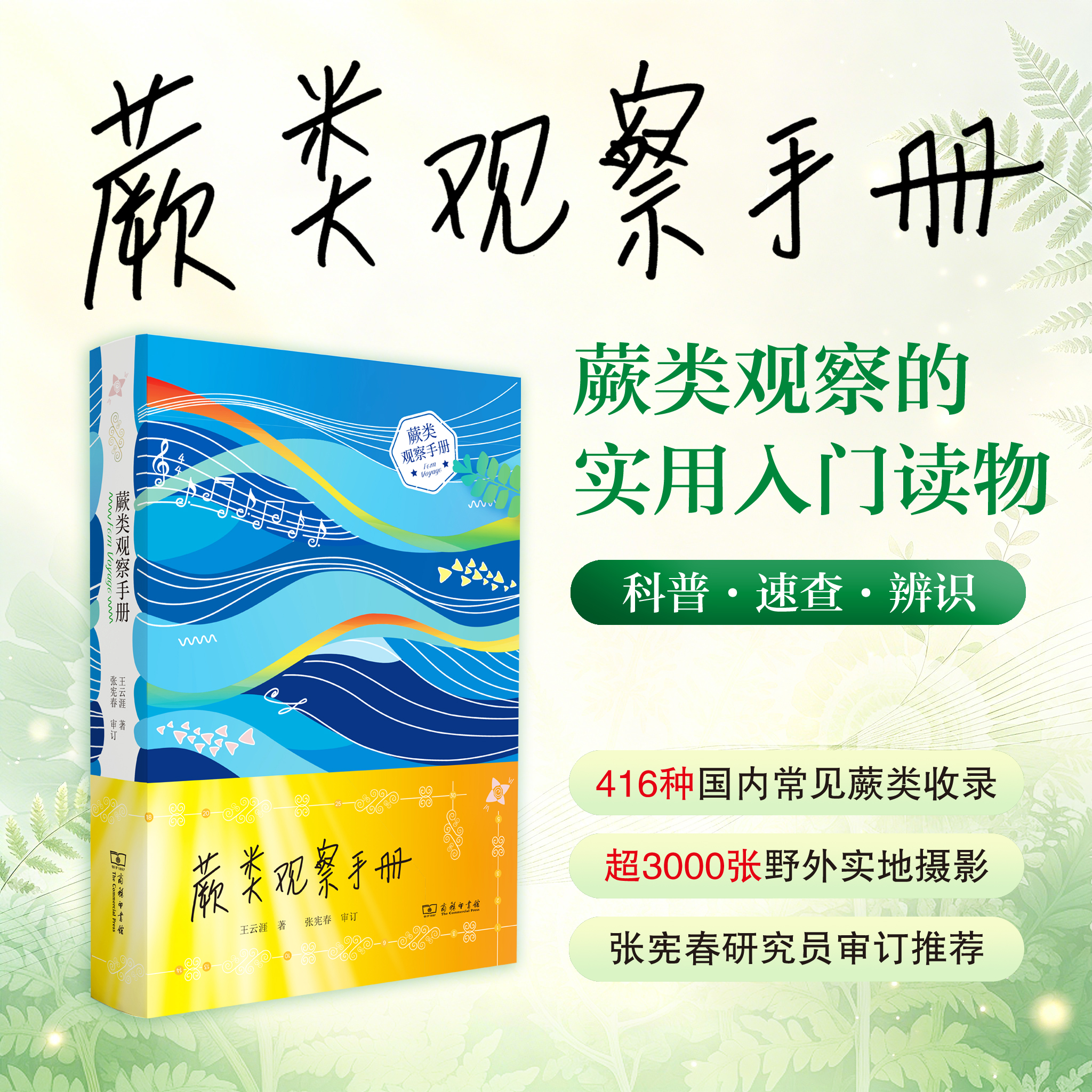蕨类观察手册 416种本土蕨类 照片3000+ 新手实用入门 王云涯 著 商务印书馆