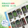 蕨类观察手册 416种本土蕨类 照片3000+ 新手实用入门 王云涯 著 商务印书馆 商品缩略图3