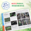 蕨类观察手册 416种本土蕨类 照片3000+ 新手实用入门 王云涯 著 商务印书馆 商品缩略图1