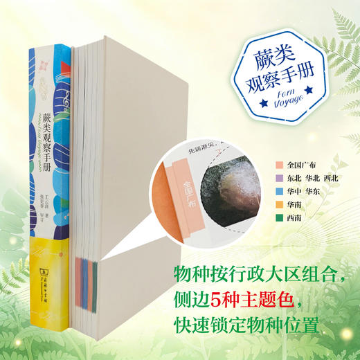 蕨类观察手册 416种本土蕨类 照片3000+ 新手实用入门 王云涯 著 商务印书馆 商品图4