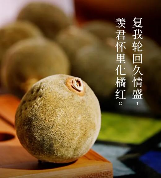 正金毛胎果化橘红 | 国家地理标志，正宗化橘红，中大教授苏薇薇团队监测认证 商品图5