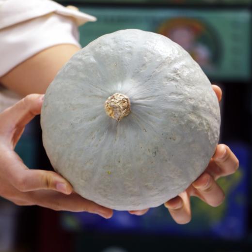 【西域金瓜盛宴】三色风味 绵密香甜 | 疆物集新疆南瓜三拼组合装 贵族南瓜/板栗南瓜/贝贝南瓜  低GI主食粗粮食材 6-7 斤 商品图3