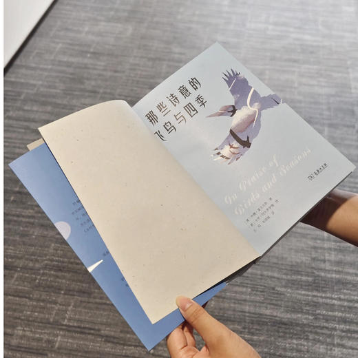 那些诗意的飞鸟与四季 附赠3款超值周边：工牌/行李牌+装裱画+不干胶贴纸） 商品图5