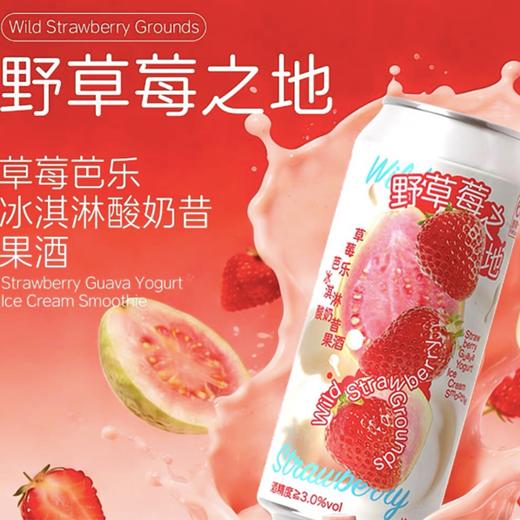 制乐厂473ml野草莓之地精酿啤酒 商品图0