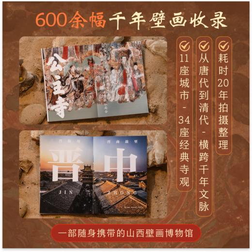 地上看山西：中国古代寺观传世壁画（平装） 商品图1
