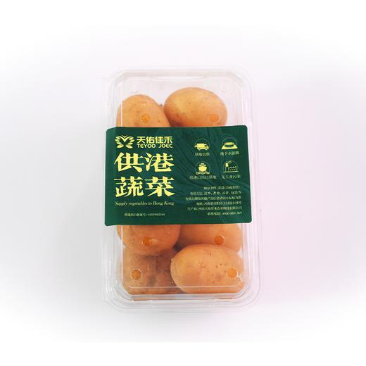供港蔬菜小土豆500g（份） 商品图1