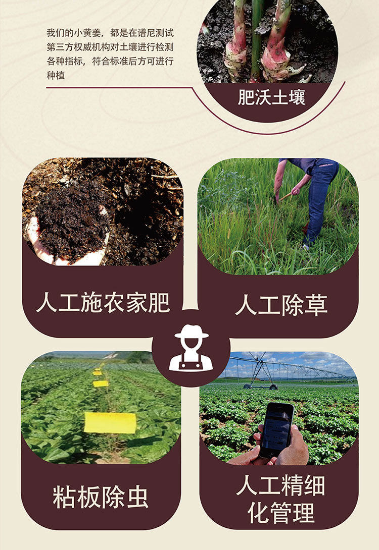 姜丸详情页_18