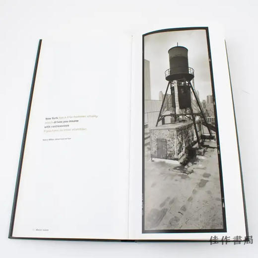 Horst Hamann: New York Vertical / 霍斯特·哈曼：垂直的纽约 商品图2