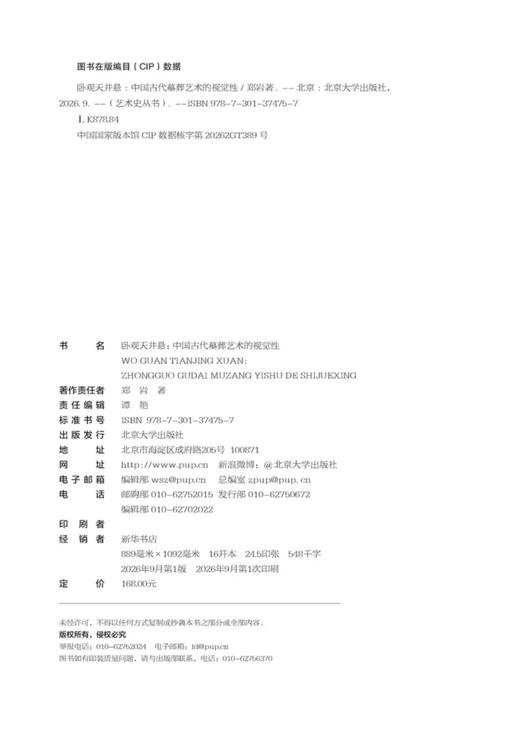 卧观天井悬：中国古代墓葬艺术的视觉性 郑岩 著 北京大学出版社 商品图2