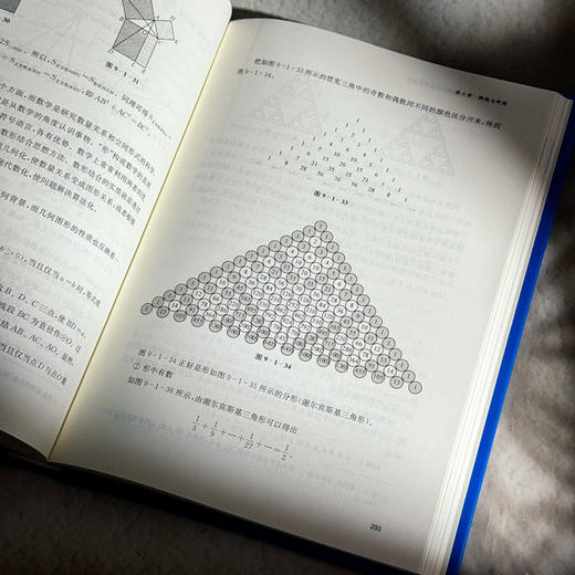 岁月深耕 初中数学课改二十五年思与行 李文革 商品图11
