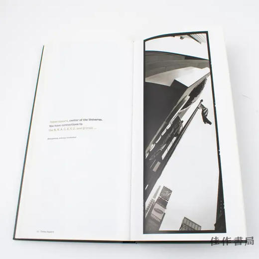 Horst Hamann: New York Vertical / 霍斯特·哈曼：垂直的纽约 商品图3