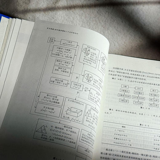 岁月深耕 初中数学课改二十五年思与行 李文革 商品图8