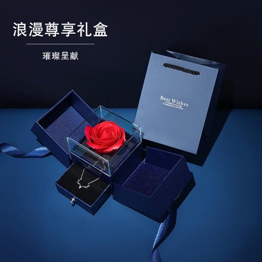 【七夕情人节礼物】六鑫珠宝 一克拉六芒星莫桑钻耀梦项链 925纯银 商品图9