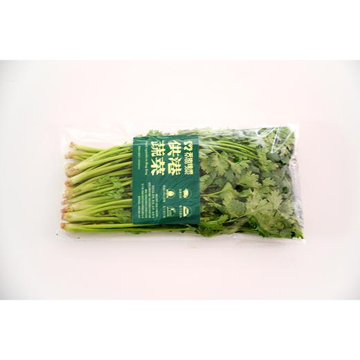 供港蔬菜香菜100g（份） 商品图0