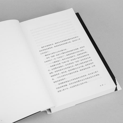 隐蔽嫌疑人 商品图7